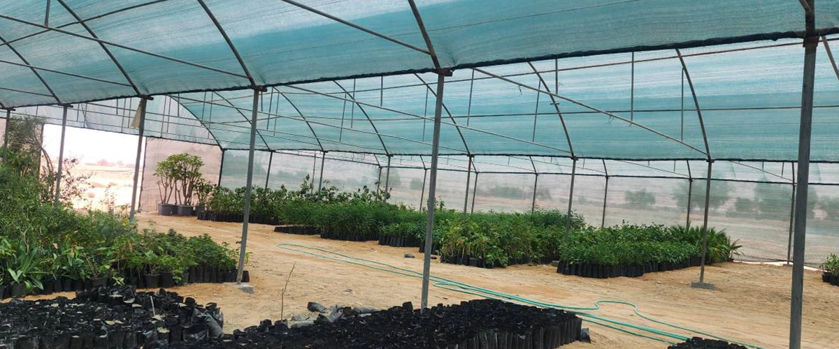 مقایسه توری سبز و سفید | راهنمای جامع انتخاب بهترین توری سایبان