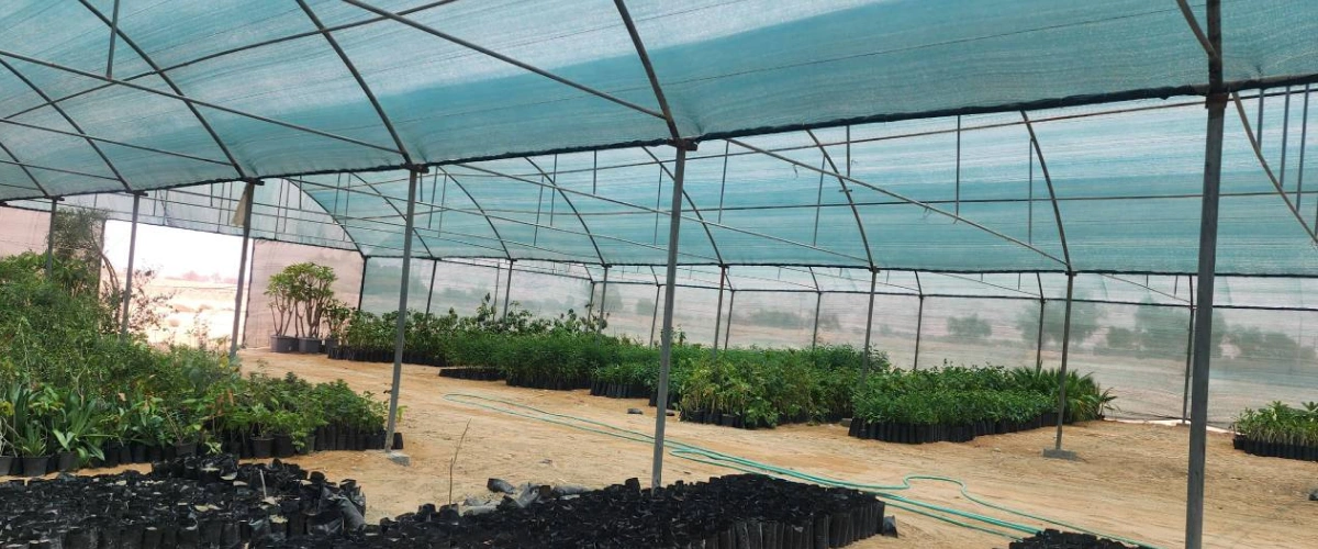 بهترین تراکم توری سایبان برای گلخانه گوجه‌ فرنگی