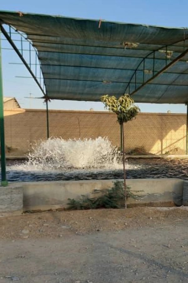 توری سایبان دام و طیور