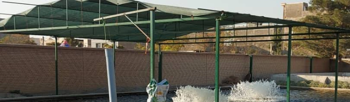 توری سایبان (شید) دام و طیور نسوم بافت